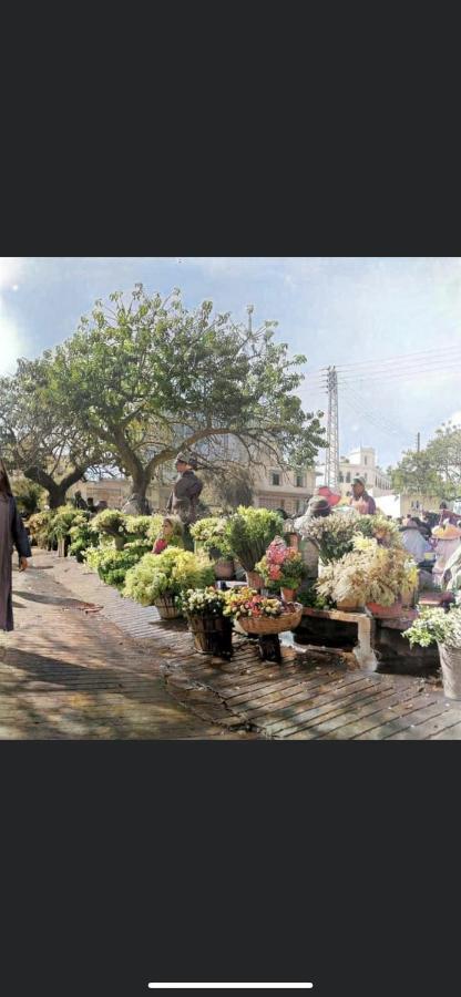 Dar Joury Daire Tanca Dış mekan fotoğraf